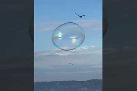 Massive bubble seen sailing across the Pacific Ocean in San Diego