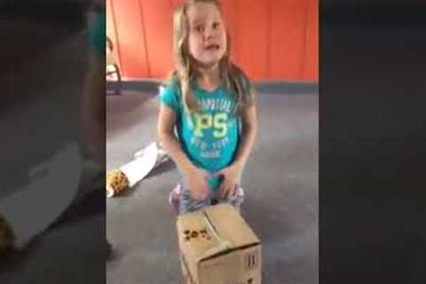 Girl''s adorable kitten surprise