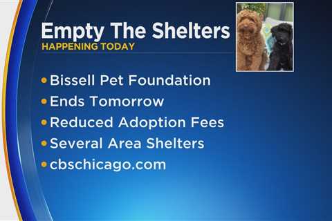 ‘Empty the Shelters’ event happening at Chicago area shelters