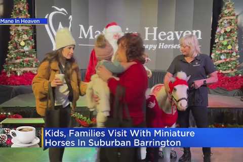 Kids, families visit with miniature horses in Barrington