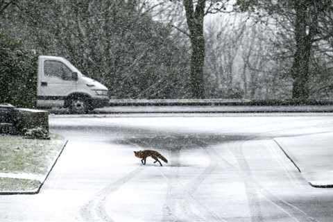 Severe weather disrupts newspaper print and delivery as snow blankets Britain