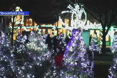 Brookfield Zoo’s Holiday Magic light show last until Dec. 31