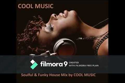 Soulful  Funky House Mix'' by cool music