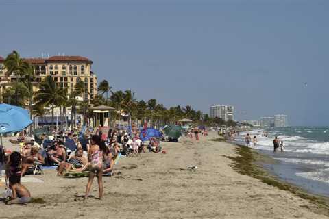 Miami Weather: Mostly sunny afternoon, rain chance goes up Tuesday