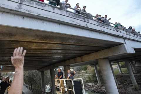 Houston’s (now unfrozen) Waugh Bridge bats released back into the wild