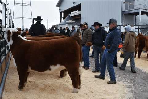 117th National Western Stock Show Starts next Saturday