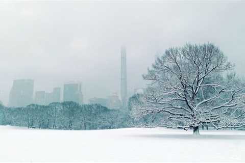 NYC’s Snowless Winter Marches On: Why Is This Happening?