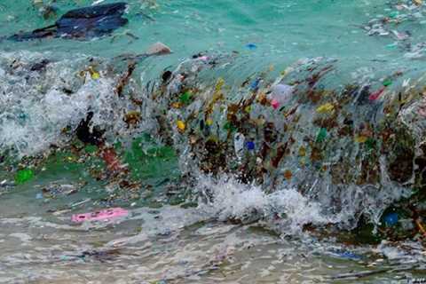 By 2050 there will be more plastic than fish in the ocean: Russian deputy prime minister