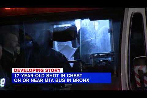 Teen shot in the chest in the Bronx