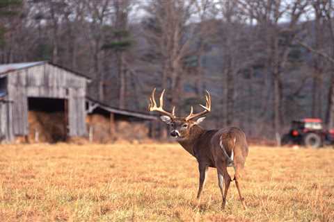 9 Out of Every 10 Harvested Whitetails Are Taken on Private Land. Here’s What That Means for Deer..