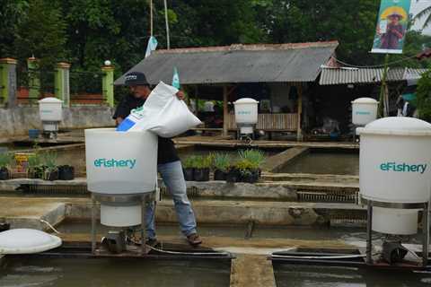 Indonesia's seafood farming industry faces a 'technology gap' — and startups are raising big bucks..