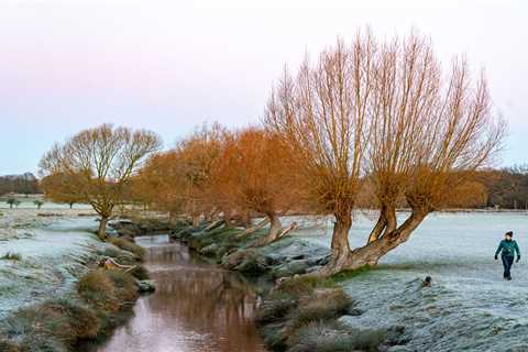 UK weather forecast: Icy -3C blast brings freezing fog and frost in chilly start to the week