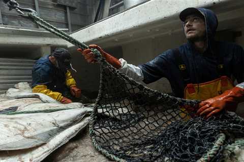 Alaska’s Fisheries Are Collapsing. This Congresswoman Is Taking on the Industry She Says Is to..