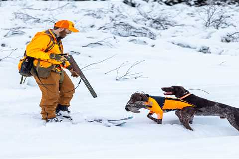 These Renegade Hunters Are Skiing into the Backcountry with Their Bird Dogs