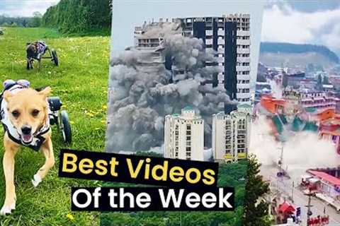 Top 15 Viral Videos of the Week