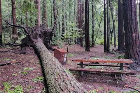 Bay Area storm updates: Newsom issues state of emergency