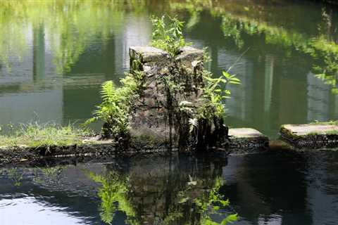 Work on Gainesville’s historic Boulware Springs begins with input