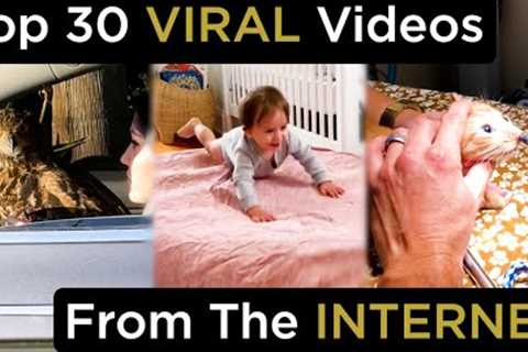 Top 30 Best Viral Videos Caught On Camera | Funny Videos