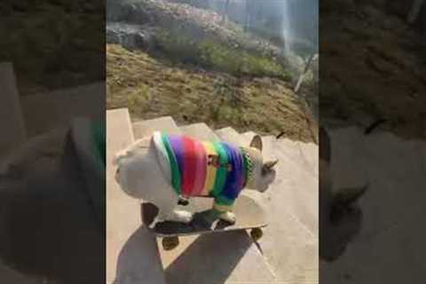 French bulldog skateboards down stairs!