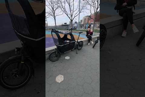 Muli Baby Cargo Bike #short #shorts #bike #bikelife #nyc