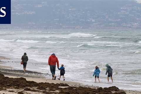 The world’s surface waters are record warm – signals the awakening of El Niño – •