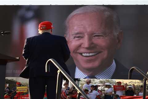 Dems relish Trump-Biden rematch