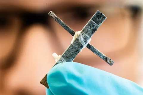 World’s First Wood Transistor Developed for Controlling Digital Crops