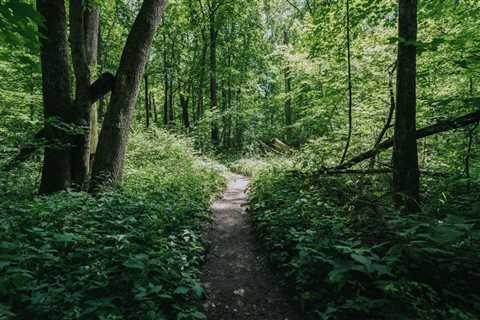 Seniors Group Nature Walk at Rum Village Park in South Bend