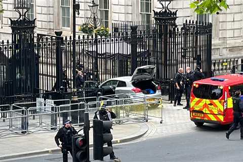 Westminster incident: Man arrested after car smashes into Downing Street gates sparking No 10..