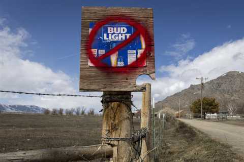 Bud Light sales decline sends ABInBev shares sliding