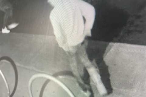 $10K worth of items stolen from El Cerrito dispensary in overnight burglary; 6 suspects at large