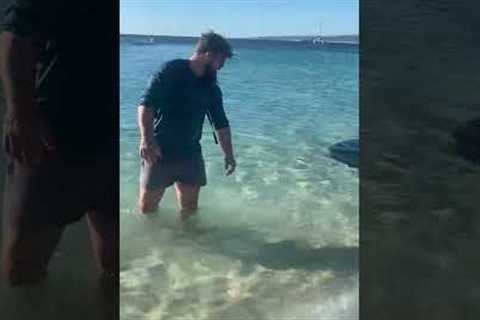 Man greeted by a trio of gentle Manta Rays