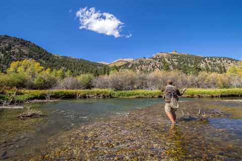 Colorado Supreme Court Throws Out Stream Access Case in Blow to Public Fishing