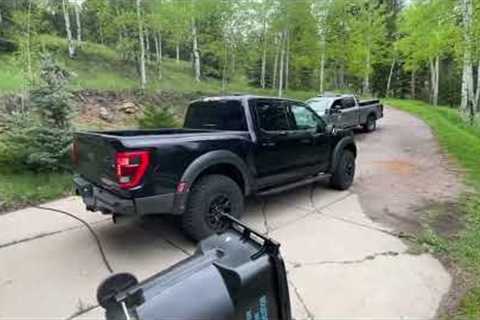 Bear locks itself in pickup truck after smelling dog food