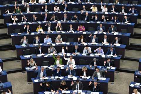 Controversy over natural law ends in chaos in the EU Parliament – •