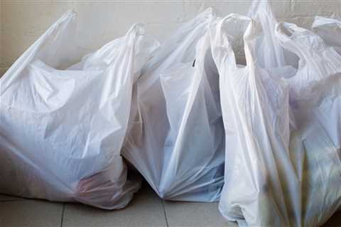 Rather of prohibiting plastic bags, why not recycle?