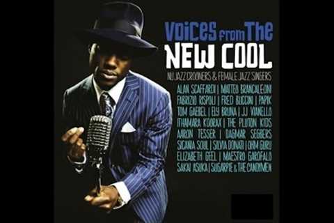 Best Acid Jazz - Top 20 Nu Jazz Classics - Voices Of The New Cool