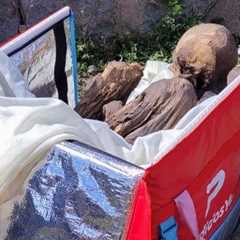 Peru police find pre-Hispanic mummy in ex-delivery man's bag