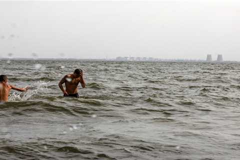 The Zaporizhzhia nuclear plant is danger and these people live next door