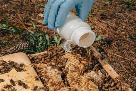 How the Tech Behind a COVID-19 Vaccine is Helping Save Bees