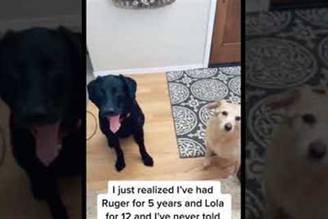 Girl tells her dogs her name for the first time