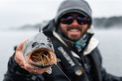 Best Winter Bass Lures of 2023