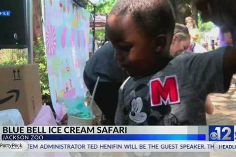 2023 Ice Cream Safari to be held on Saturday