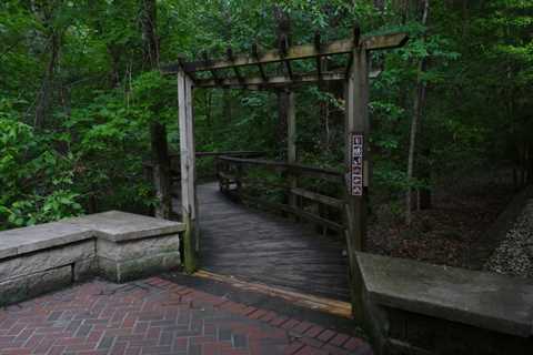 New boardwalk and loop trail opens in Ocean Springs