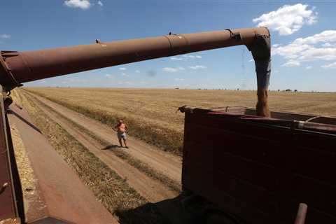 Ukrainian Farmers Are Keeping the World From Starving. But It’s Getter Harder.