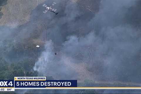 Hill County wildfire destroys 5 homes