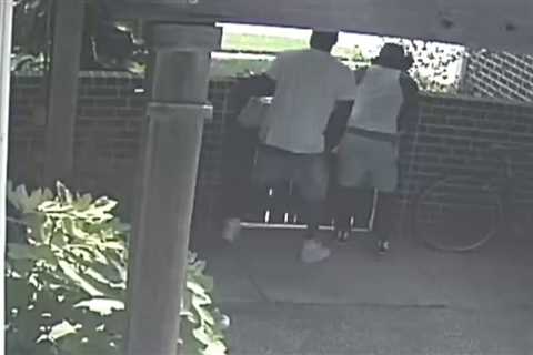 Brazen burglars caught on camera minutes apart targeting two Meyerland homes