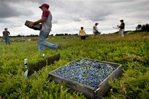 San Mateo County’s agriculture industry takes economic hit due to drought