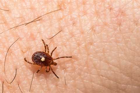 Tick-Borne Alpha-Gal Syndrome Might Be More Widespread than We Realized