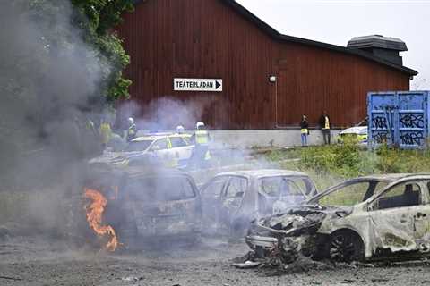 Chaos erupts at African cultural event in Stockholm (VIDEO) — RT World News